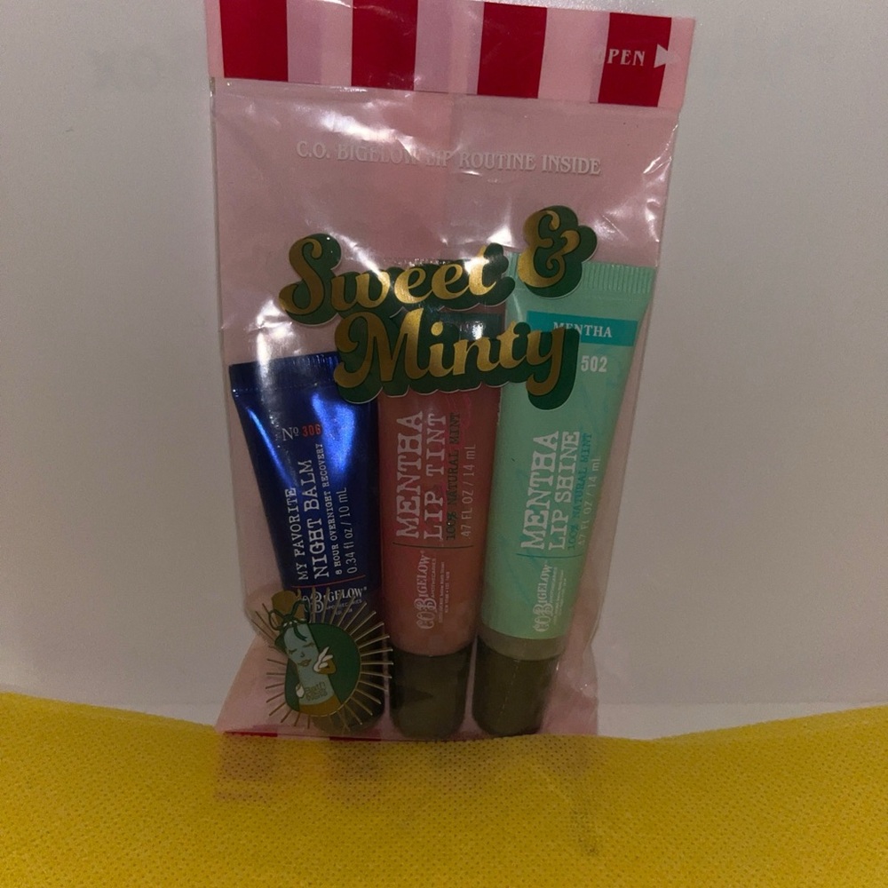 Bath & Body Works Lip 3pc Set Mentha Lip Shine Night Balm Pink Mint Tint